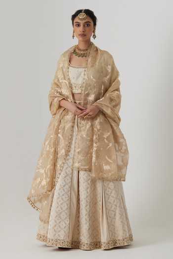 Rhua Sunehri Bloom Crest Lehenga Set 