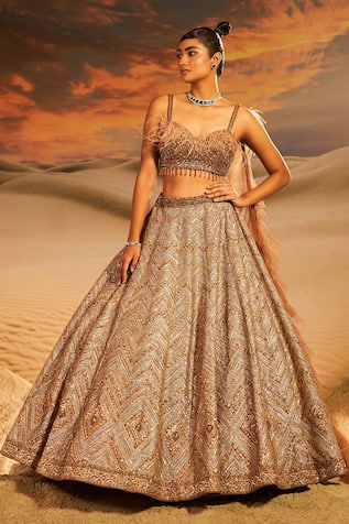 Label Disha Arora Aurora Chevron Pattern Hand Embroidered Lehenga Set 