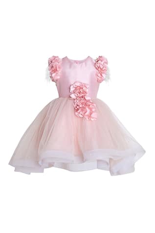 Pnk Isha Arora (Pink) Floral Applique Embellished Dress 