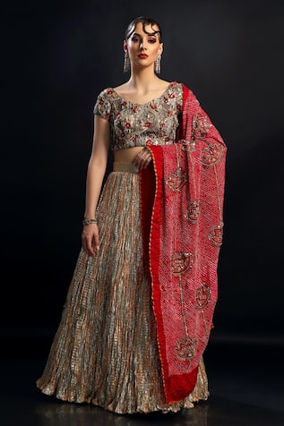 Etasha by Asha Jain Textured Lehenga Floral Crochet Embroidered Blouse 