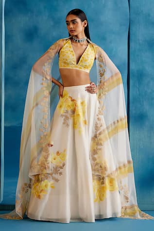 Devnaagri Hand Painted Embroidered Lehenga Set 