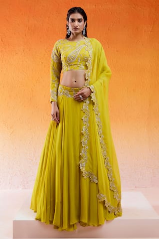 Redpine Designs Daisy Embroidered Lehenga Set 