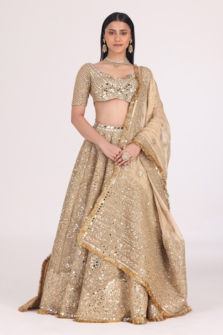 Abhinav Mishra Zari Embellished Bridal Lehenga Set