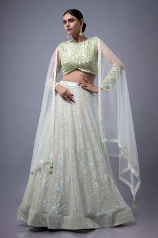 Ellemora fashions Elegance Sequin Embroidered Lehenga Set 