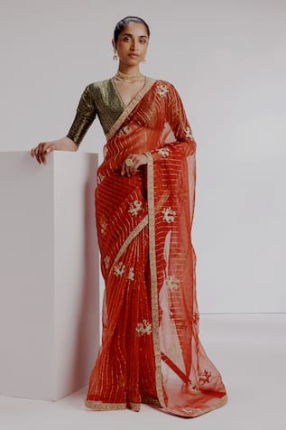 Taisha Tiger Embroidered Striped Saree Set 