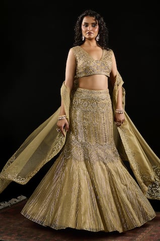 Reeti Arneja Amani Mughal Bahar Embroidered Bridal Lehenga Set 