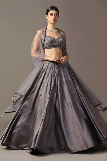 Pooja Peshoria Grey Crystal Hand Embroidered Lehenga Set 