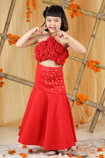 The Little Celebs 3D Rose Applique Blouse & Skirt Set 