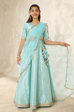 Bahar Woven Lehenga Set 