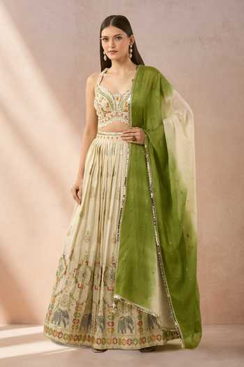 Aariyana Couture Embroidered Elephant Motif Lehenga Set 