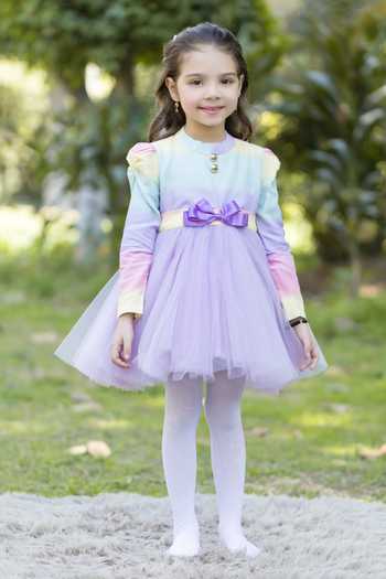 The Pony & Peony Co. Rainbow Multi Color Net Dress 