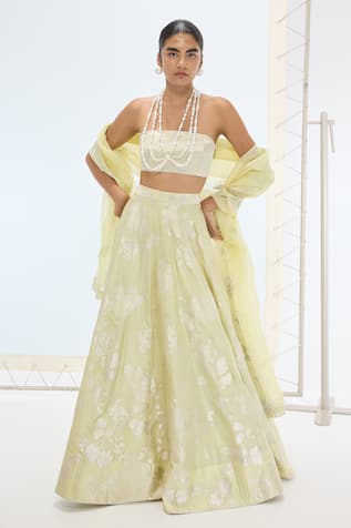 Ekaya Banaras Pista Handwoven Silk Lehenga Set 