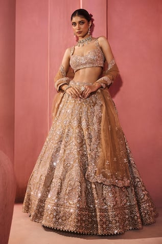 Aneesh Agarwaal Gold Embellished Lehenga Set 
