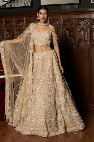 Istya Beige Embellished Lehenga Set 
