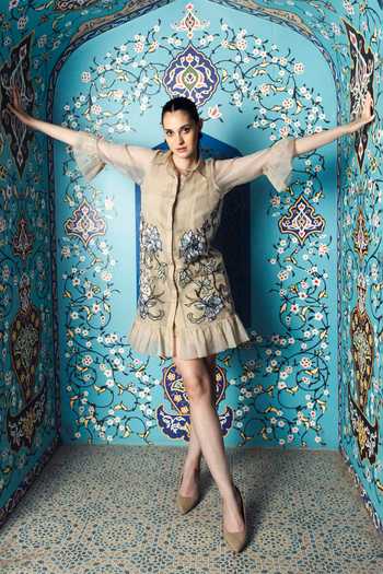 Shagun Nagi The Label Ruffle Applique Dress 