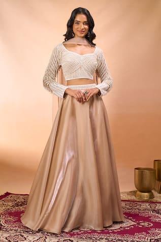 Alaya Advani Hand Embroidered Blouse Lehenga Set 