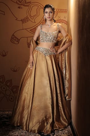 Vana Ethnics The Kamalratna Mirror Embroidered Lehenga Set 