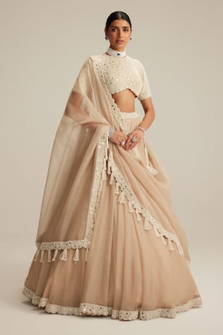 Vvani By Vani Vats High Neck Blouse & Organza Lehenga Set 