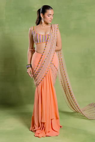 Tuhina Srivastava Embroidered Mermaid Saree & Velvet Blouse Set 