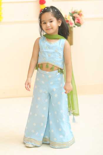 Pankhuri By Priyanka Hand Block Print Blouse Palazzo Set 