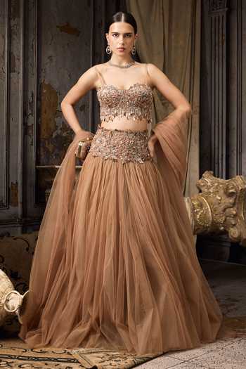 Rocky Star Embellished Blouse & Tulle Lehenga Set 