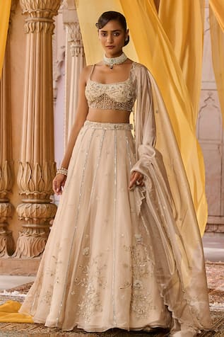 Zoon Aari Embroidered Organza Lehenga Set 