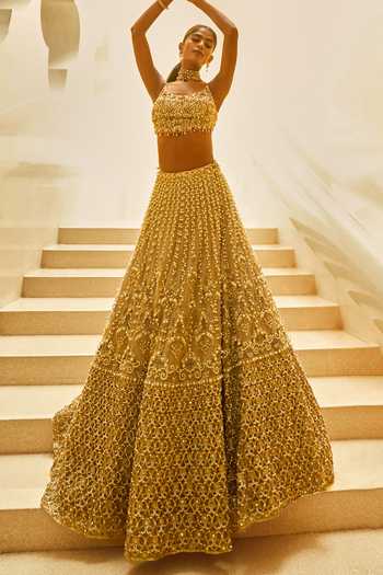 Tamanna Punjabi Kapoor Embellished Tulle Lehenga Set 