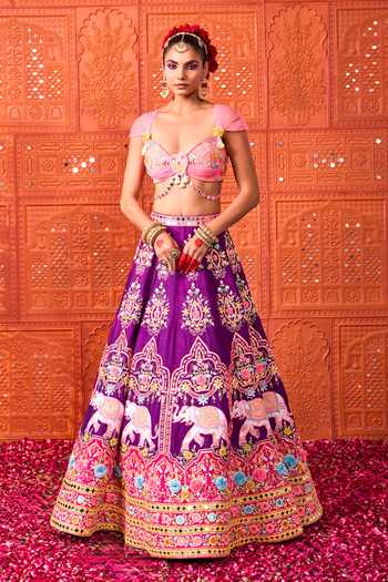 Rajbinder Chahal Elephant Embroidered Lehenga Blouse Set 