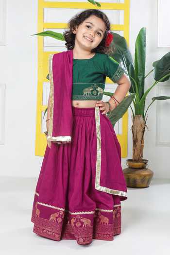 Little Bansi Elephant Embroidered Blouse Lehenga Set 