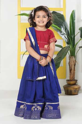 Little Bansi Elephant Motif Embroidered Lehenga Set 