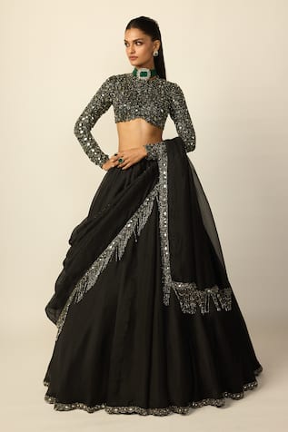 Vvani by vani vats Heavy Embroidered Blouse Lehenga Set 