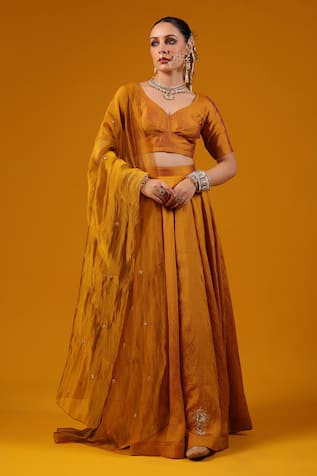 Baaro Masi Cut Dana Embroidered Lehenga Set 