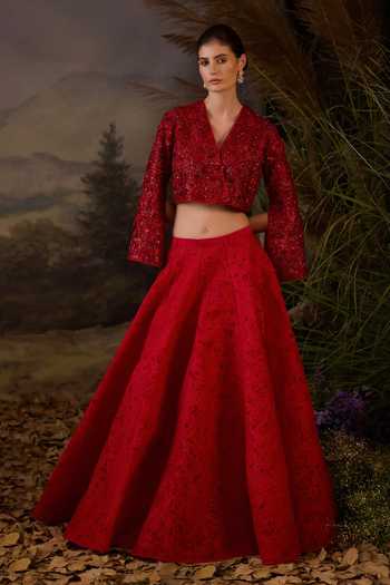Samant Chauhan Zardozi Embroidered Organza Silk & Net Top & Skirt Set 