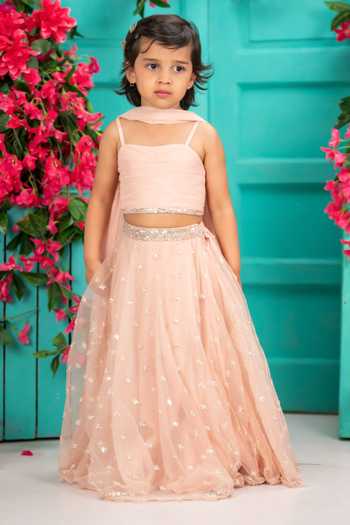 Shruti Jalan Embroidered Net Gauze Lehenga Set with Dupatta 