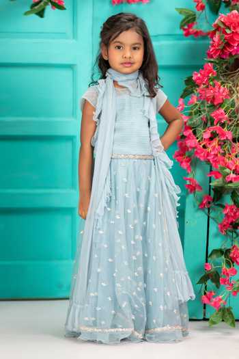 Shruti Jalan Embroidered Net Gauze Lehenga Set with Blouse and Dupatta 