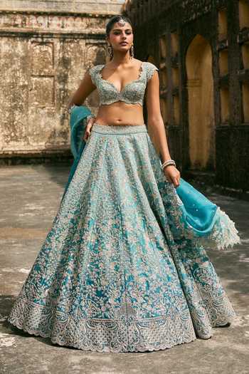 Anushree Reddy Vajra Embroidered Organza Lehenga Set 
