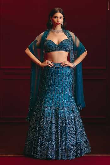 ANGAD SINGH Plume Of The Regent Net Lehenga Set 