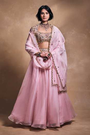 Tamanna Punjabi Kapoor Resham Embellished Blouse Lehenga Set 
