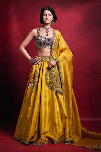Tamanna Punjabi Kapoor Habutai Silk Embroidered Lehenga Set 