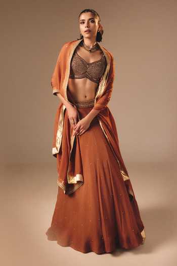 Disha Muchhala Sequin Work Lehenga Set 