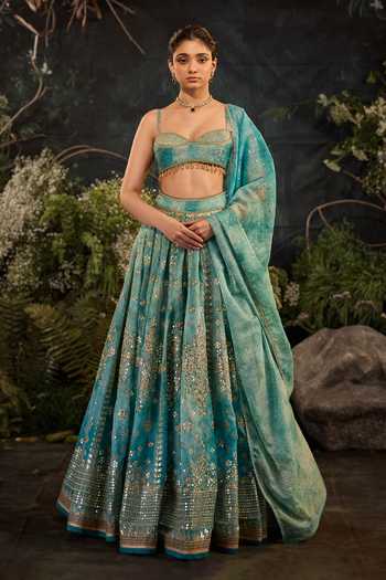 Cedar & Pine Celeste Embroidered Lehenga Set 