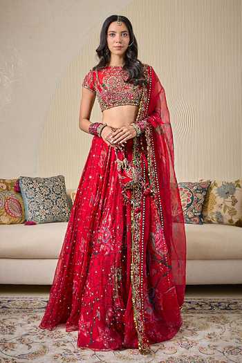 Mahima Mahajan Alina Embroidered Lehenga Set 