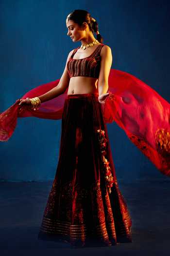 Devnaagri Zari Embroidered Velvet Bridal Lehenga Set 