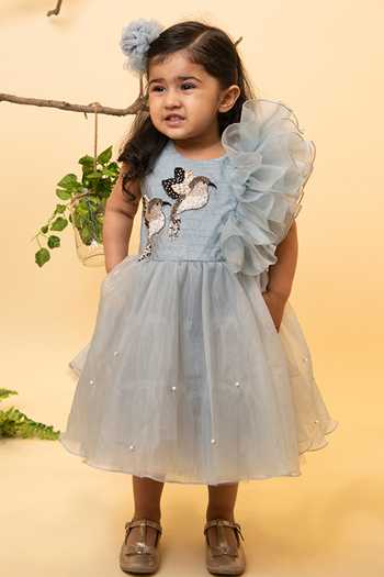 Lil Angels Grey Embroidered Organza Dress 