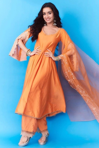 Devnaagri Dori Embroidered Sleeve Anarkali Set