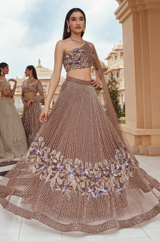Amit GT Embroidered Draped Blouse & Lehenga Set