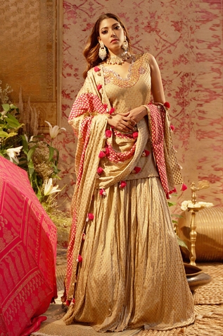 Bhumika Sharma Printed Kurta Lehenga Set