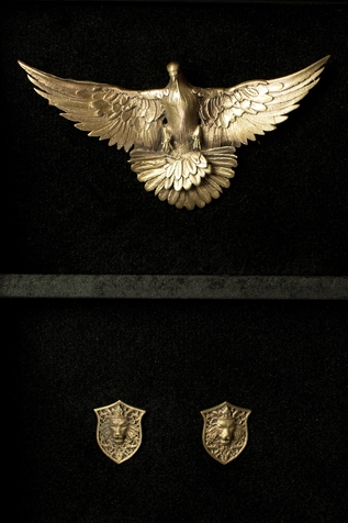 Cosa Nostraa Phoenix Brooch & Lion Shield Collar Tips Set