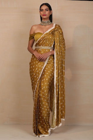 Esha Koul Printed Pre-Draped Saree Set
