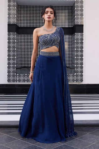 Charu and Vasundhara Erika Draped Blouse & Lehenga Set